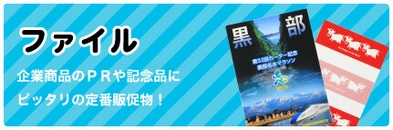 クリアファイル・紙ファイル 企業商品のPRや記念品にピッタリの定番販促品！