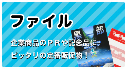 クリアファイル・紙ファイル 企業商品のPRや記念品にピッタリの定番販促品！