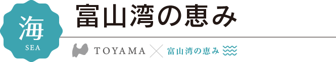 海　富山湾の恵みカレンダー